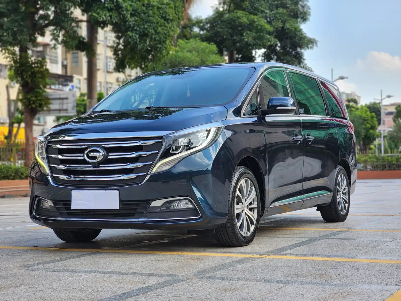 GAC Trumpchi Trumpchi M8 2018 320T Premium Edition