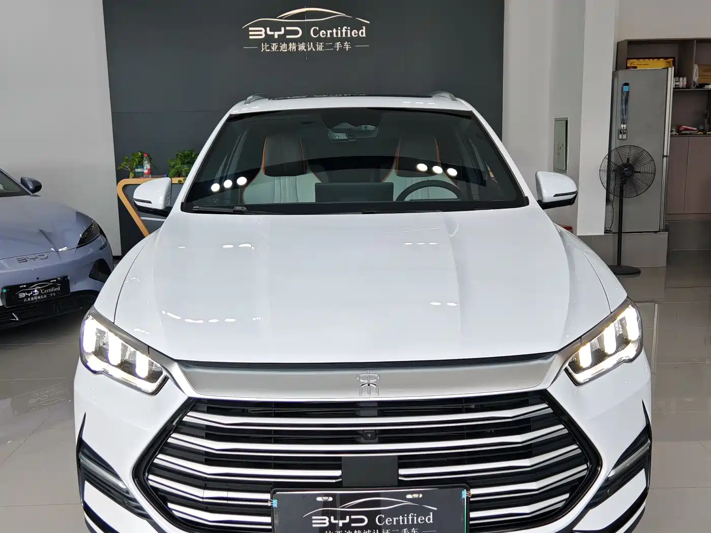 BYD Song Pro New Energy 2022 DM-i 110km Flagship Pro фото 2