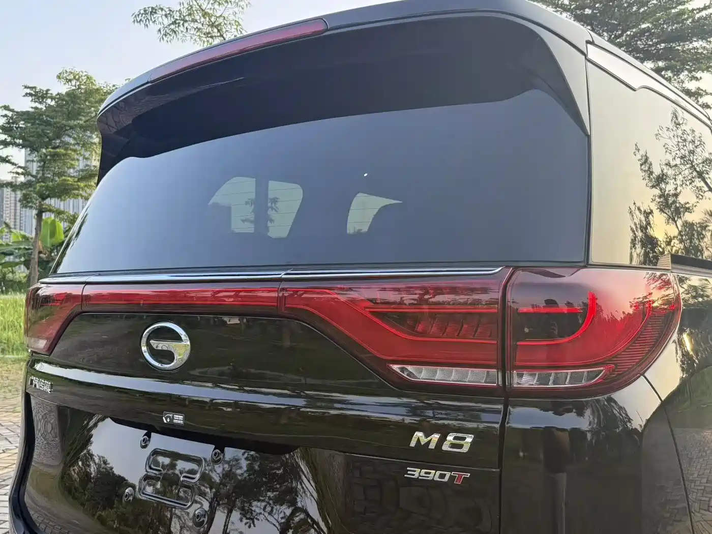 GAC Trumpchi Trumpchi M8 2023 Leading Series 390T Premium Edition фото 15