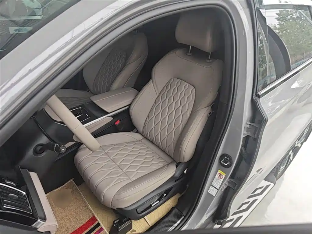 BYD Tang New Energy 2025 DM-i 115KM Premium фото 15
