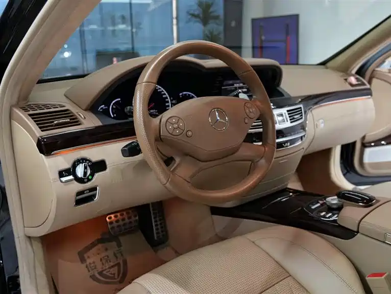 Mercedes-Benz S-Class AMG 2010 AMG S 65 фото 9