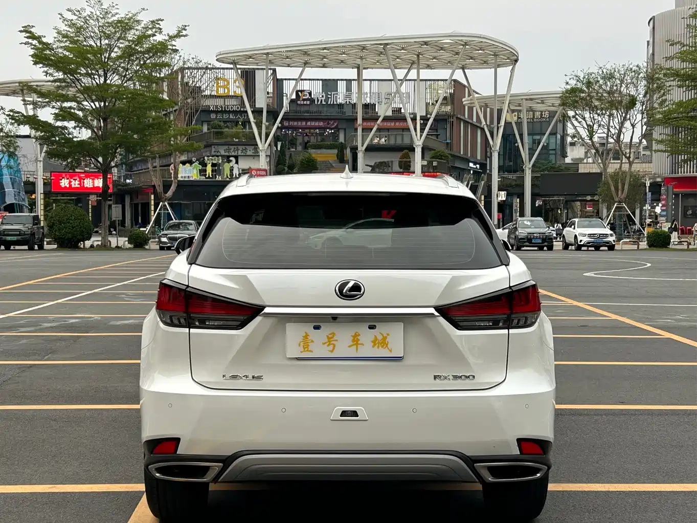 Lexus RX 2020 Facelift 300 2WD Comfort Edition фото 5