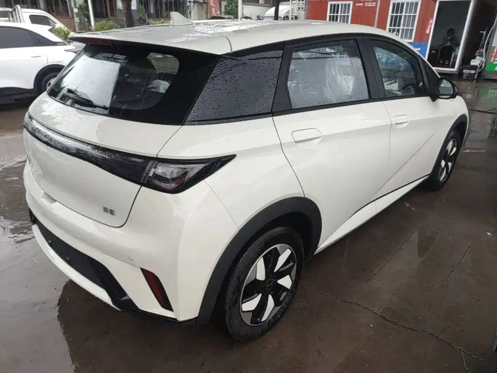 BYD Dolphin 2026 2025 420km Freedom Edition