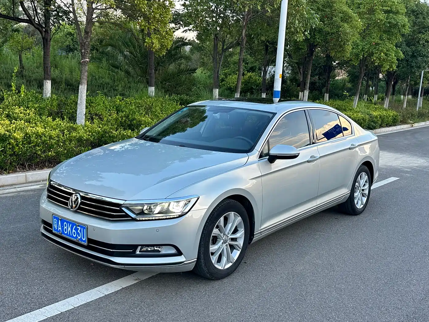 Volkswagen Magotan 2019 330TSI DSG Luxury China V
