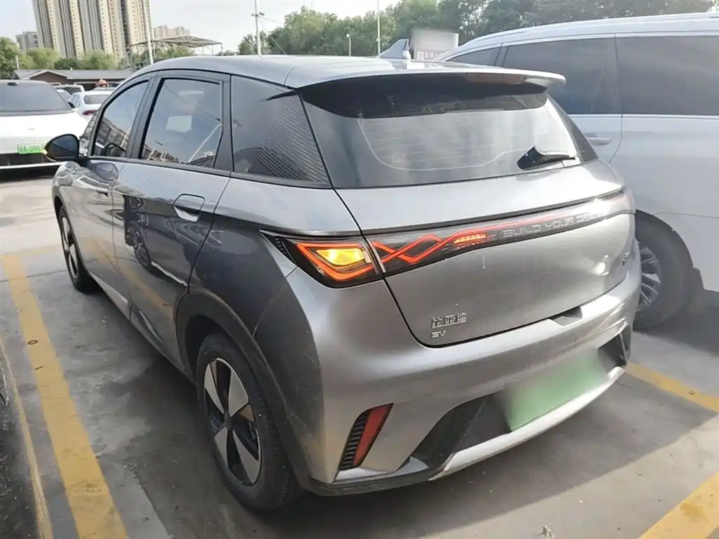 BYD Dolphin 2023 420km Fashion Edition фото 5