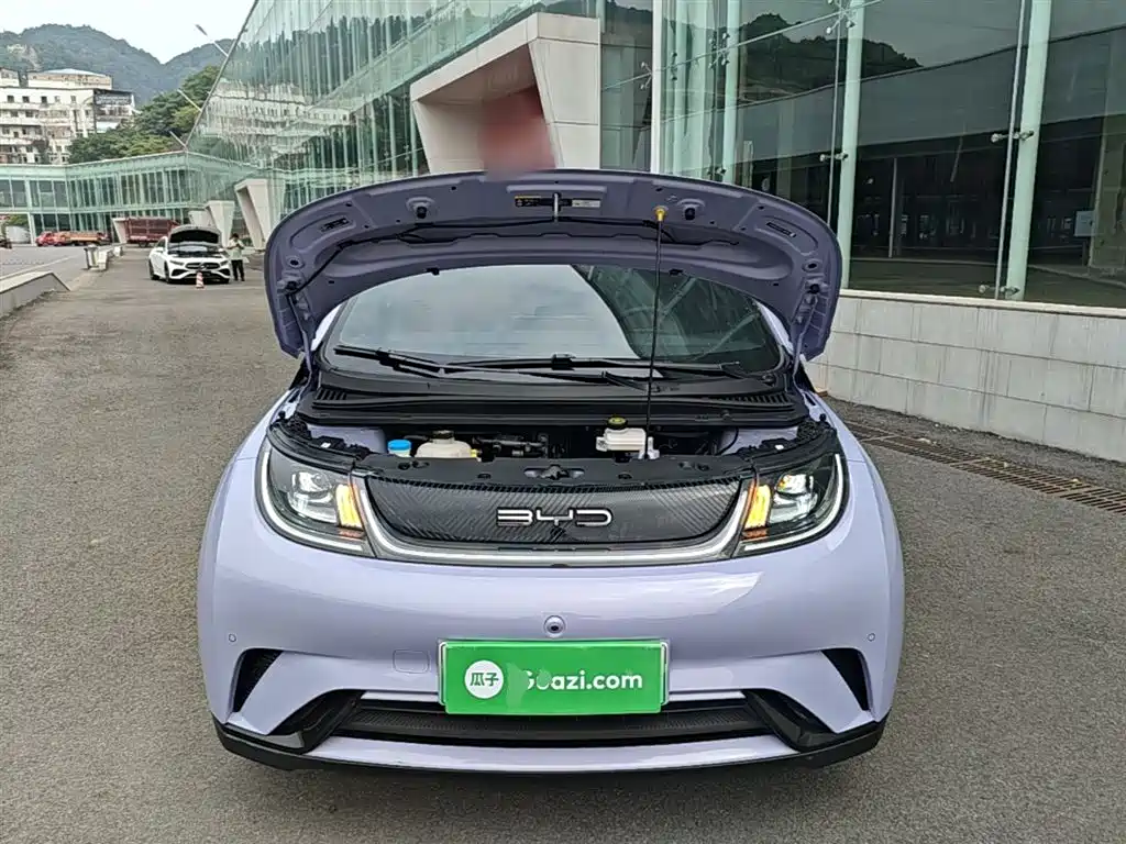 BYD Dolphin 2024 Glory Edition 420km Fashion Edition фото 20