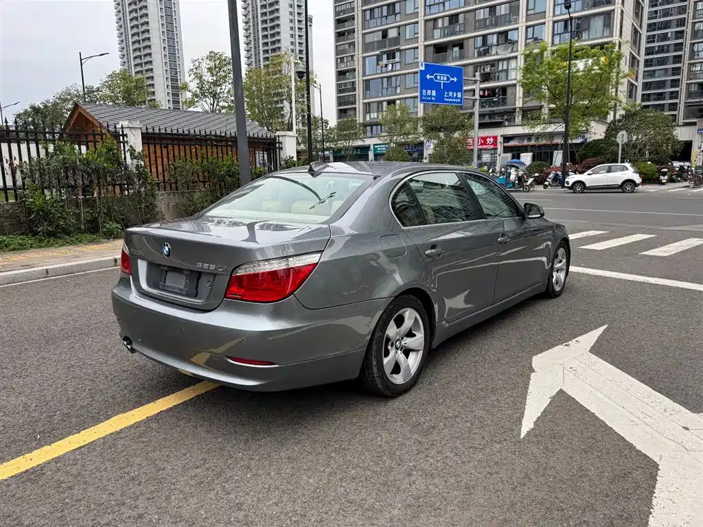 BMW 5 Series 2010 525Li Leading фото 6