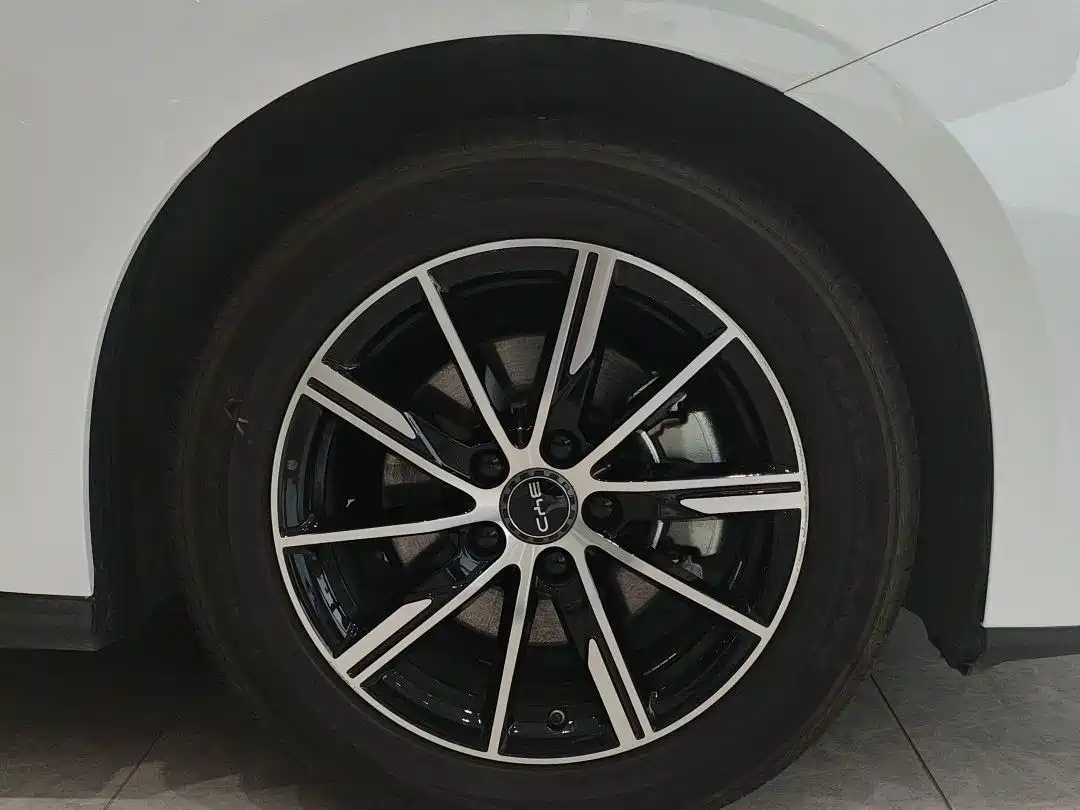 BYD Seal 06 New Energy 2024 DM-i 120KM Premium фото 12
