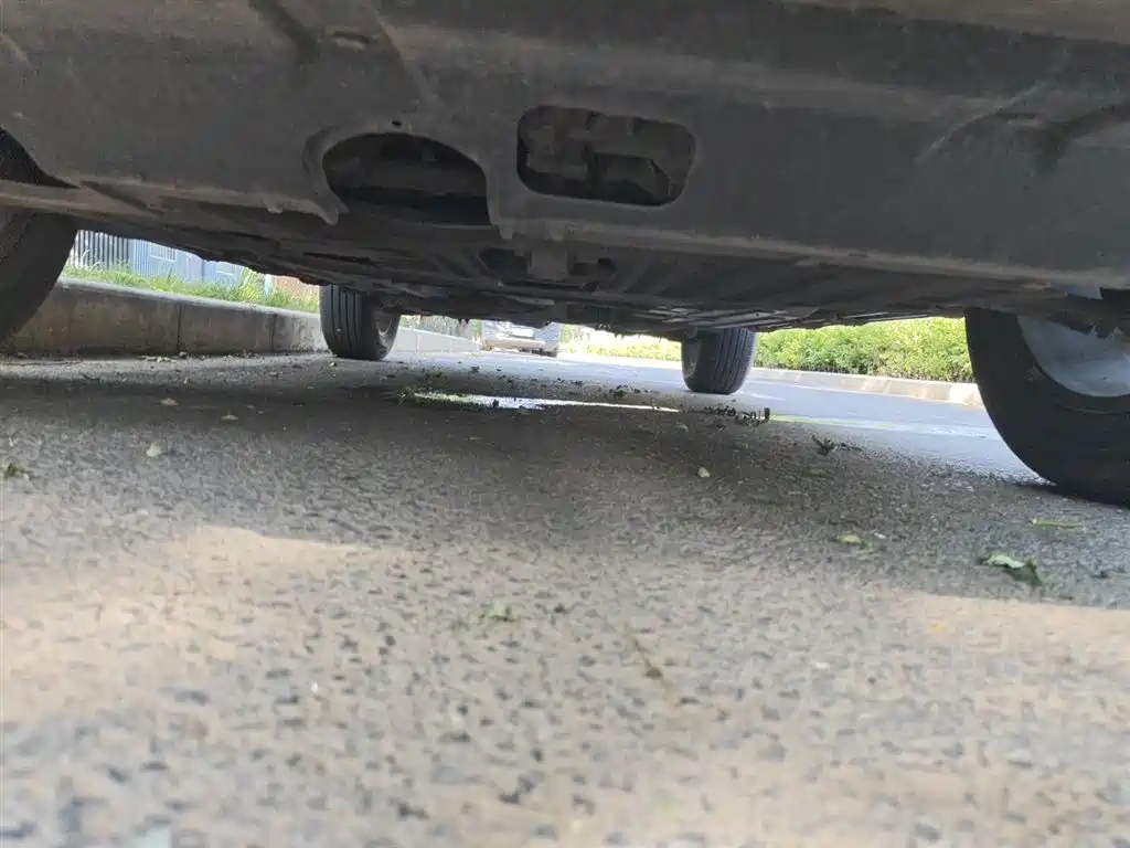 Haval Big Dog 2022 1.5T DCT FWD Border Collie Edition фото 25