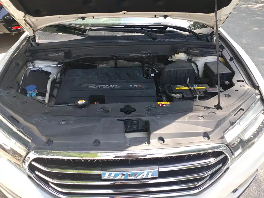 Haval H6 Coupe 2016 Blue Label 1.5T Automatic 2WD Urban фото 9