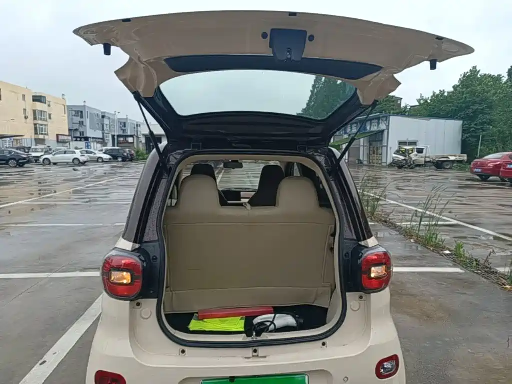 Xiaohu EV 2022 2021 FOR-Four Good Tiger NMC