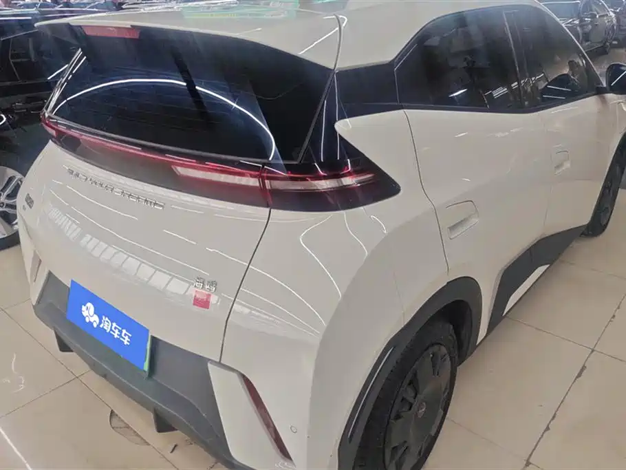 BYD Seagull 2024 Glory Edition 305km Vitality Edition фото 3