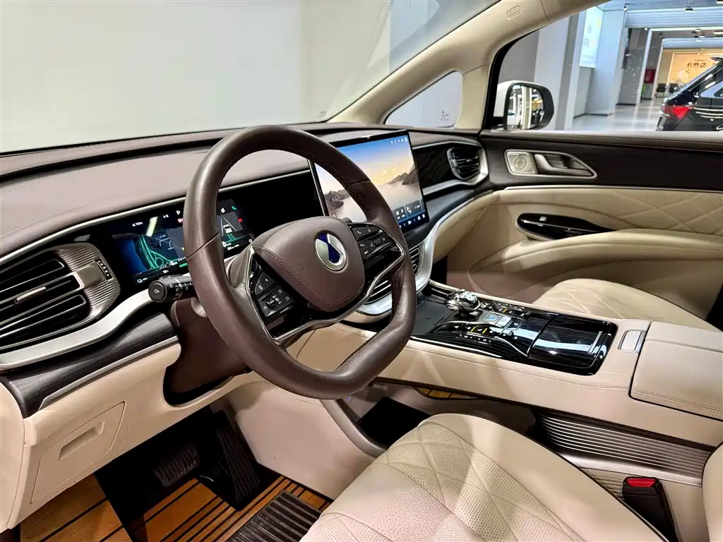 Denza D9 2024 DM-i 980 AWD Prestige фото 21