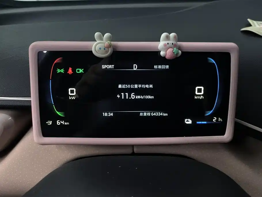 BYD Seagull 2023 Freedom Edition фото 14