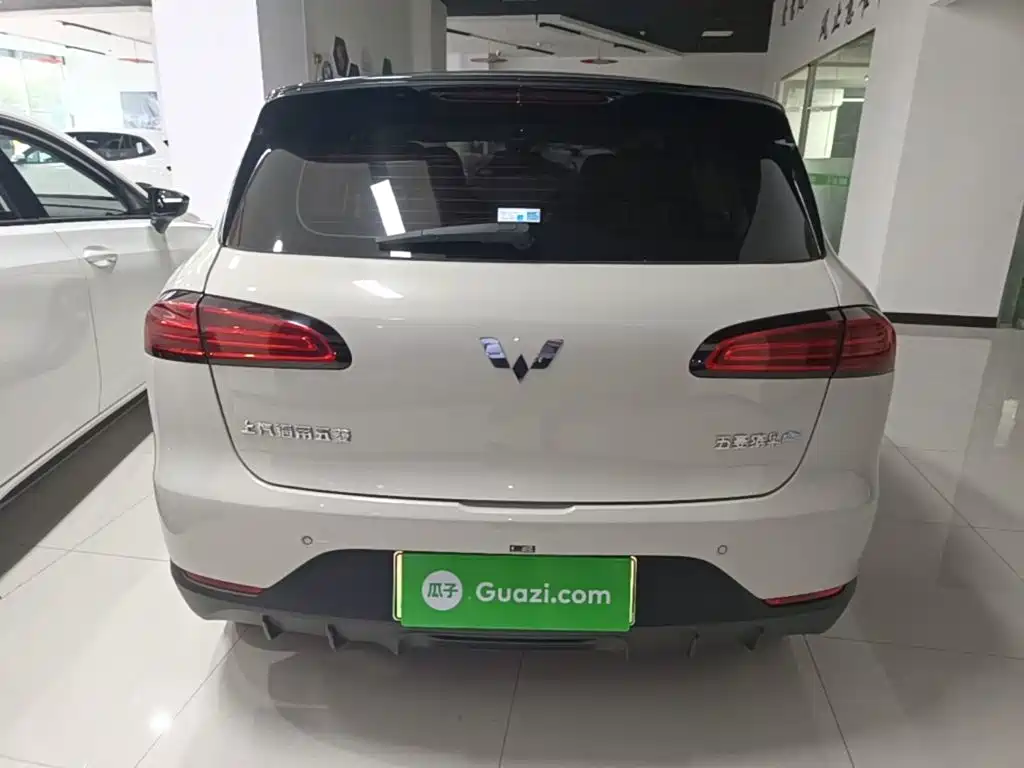 Wuling Motors Wuling Binguo PLUS 2024 2024 401km Range 5-seater
