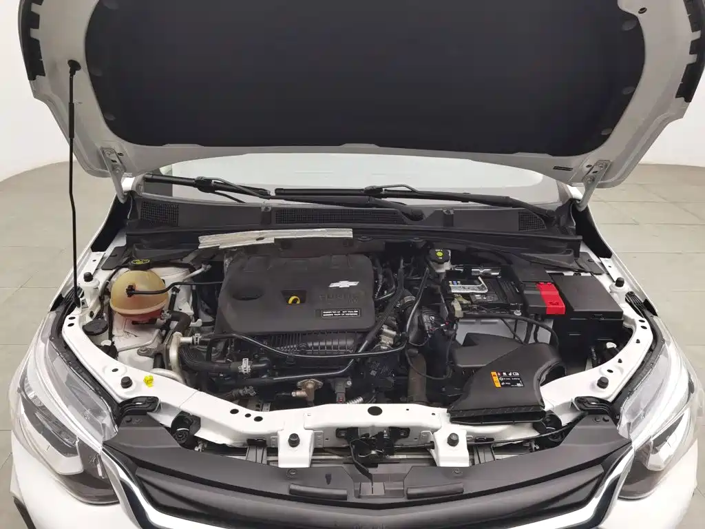 Chevrolet Cavalier, миниатюра 6