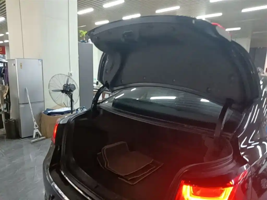 Chevrolet Malibu 2018 530T Automatic Luxury Edition фото 19