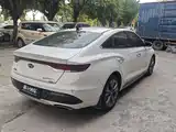 Photo 8 - Hyundai Lafesta