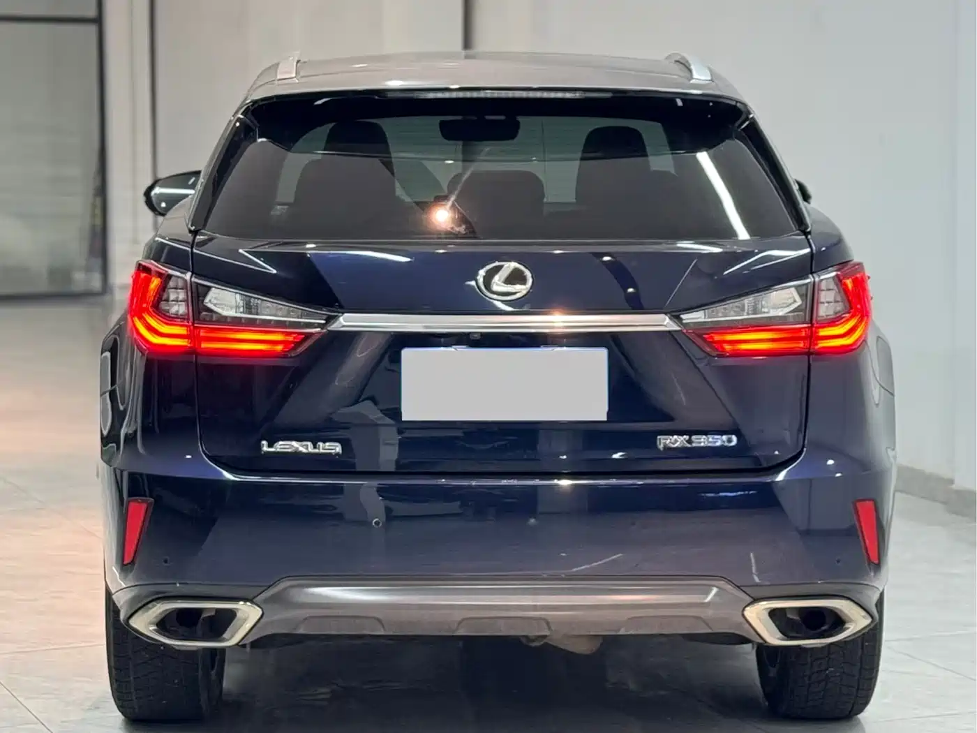 Lexus RX 2016 300 4WD Elegance Edition (China V) фото 8
