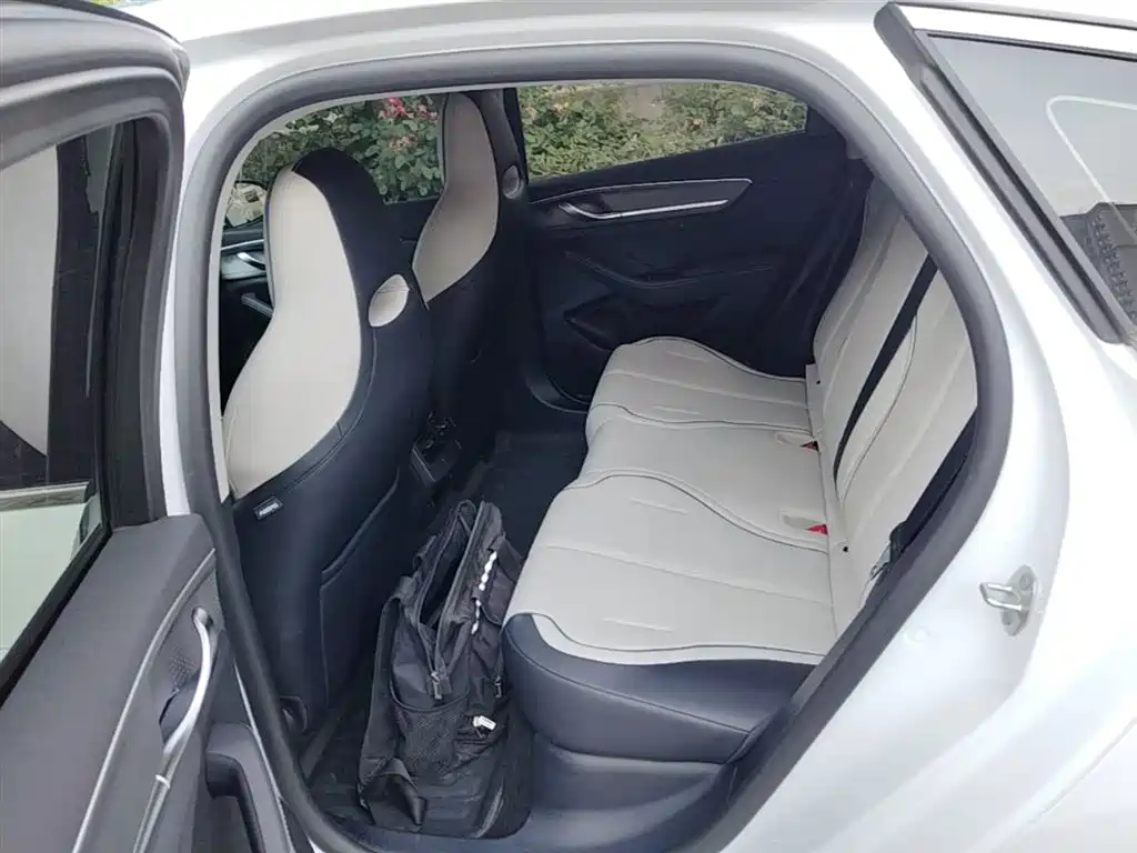 BYD Destroyer 05 2024 Glory Edition DM-i 55KM Luxury фото 17