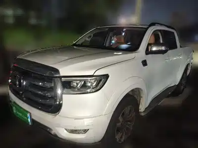 Great Wall Poer