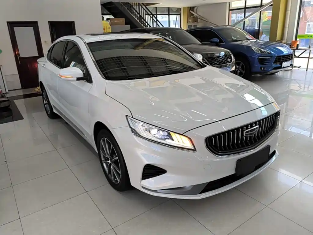 Фото 4 - Geely Borui