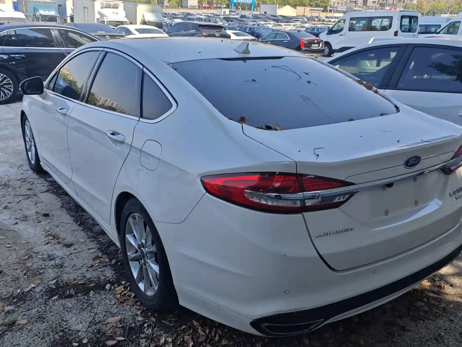 Фото 9 - Ford Mondeo