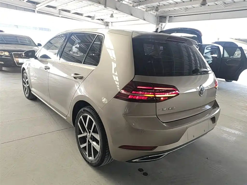 Volkswagen Golf 2019 280TSI DSG Luxury China VI фото 5