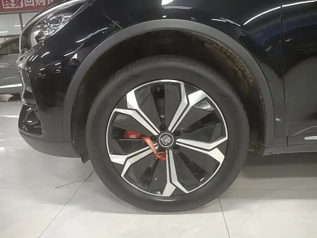 BYD Tang New Energy 2024 EV Glory Edition 600KM Premium фото 23