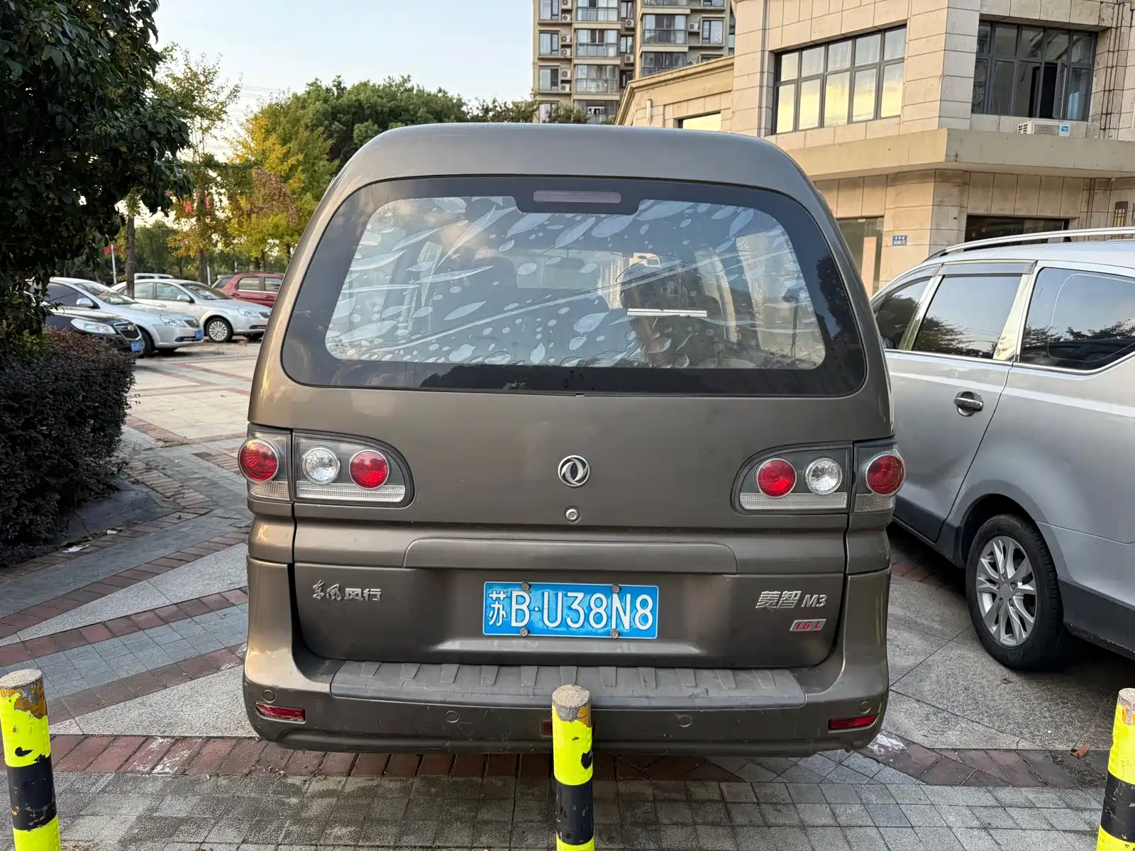 صورة 5 - Dongfeng Fengxing Lingzhi
