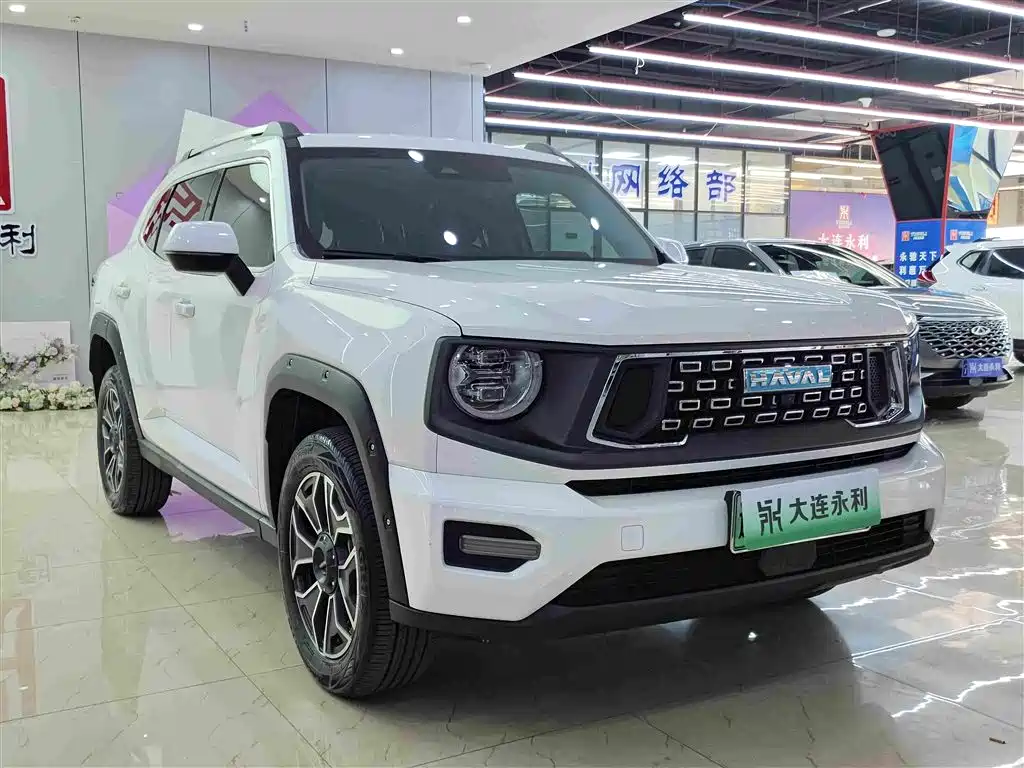 2024 Haval Second-Generation Big Dog New Energy