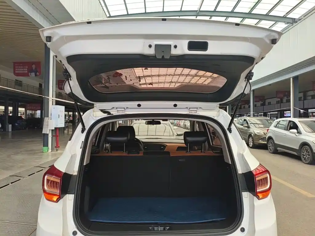 Landwind X2 2019 2017 1.6L Auto Vigorous Edition