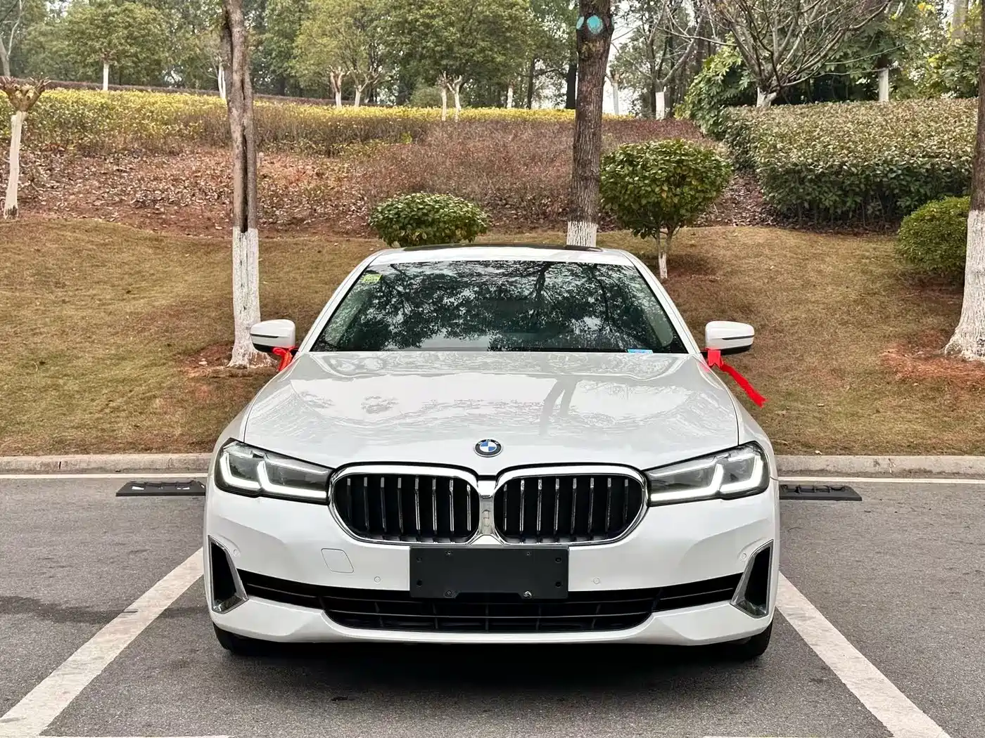BMW 5 Series 2022 525Li Luxury Package фото 2