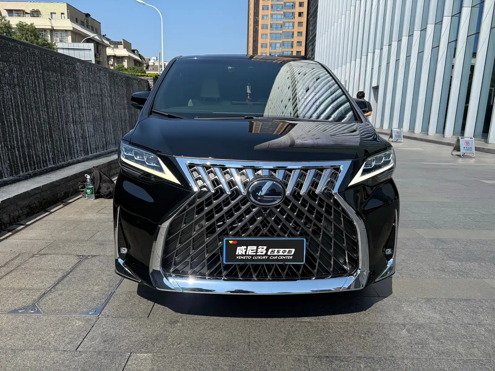 Фото 2 - Lexus LM