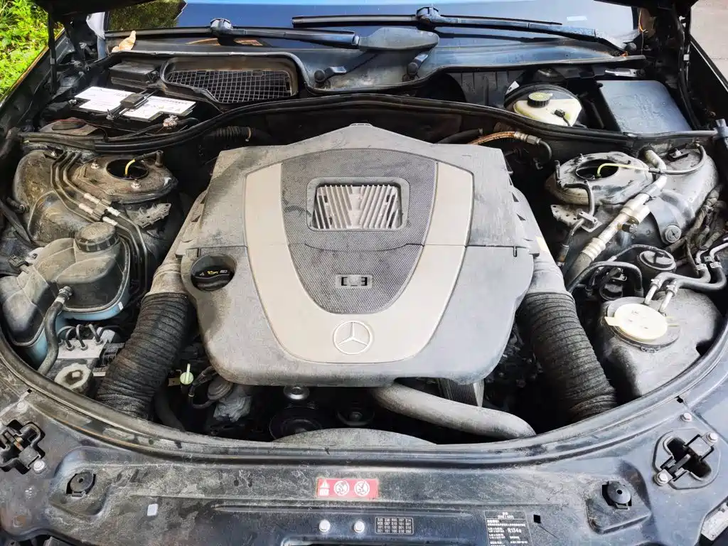 صورة 3 - Mercedes-Benz S-Class