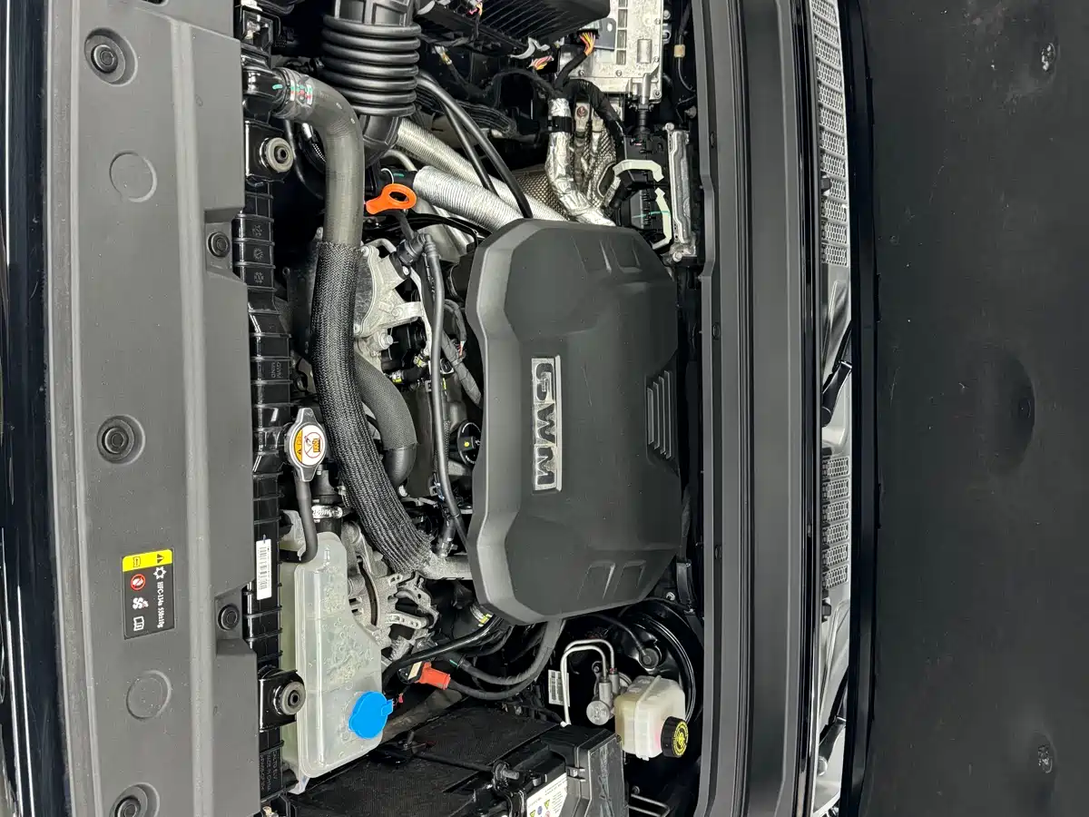 Tank 300 2024 2.0T Explorer фото 20