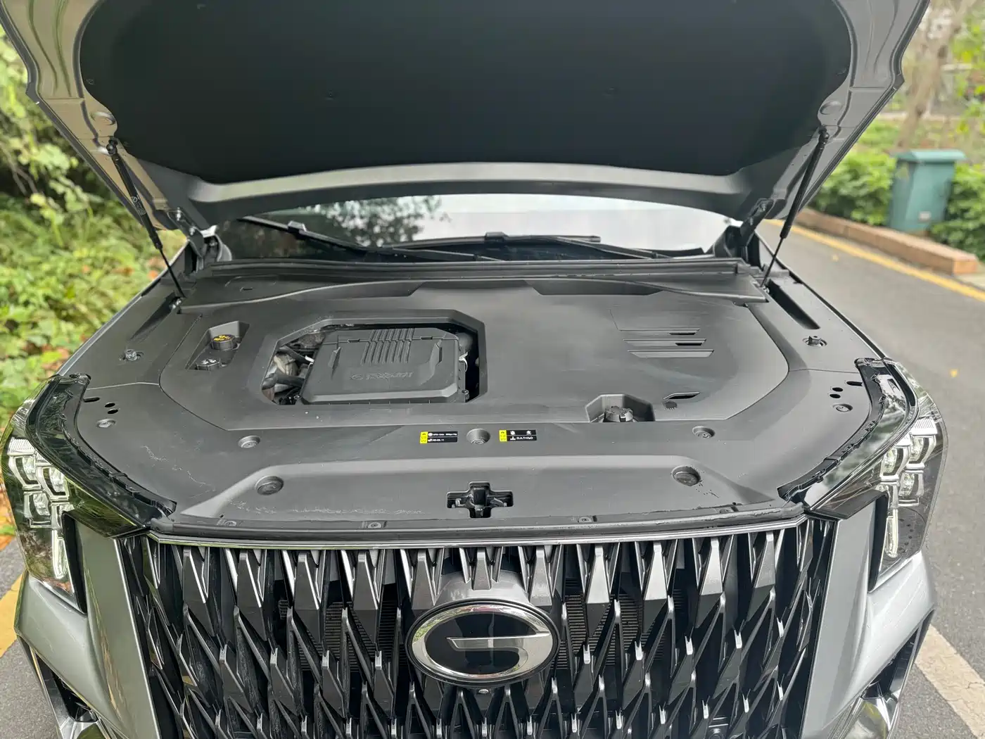 GAC Trumpchi Trumpchi GS8 2024 Dual Engine Series 2.0TM 4WD Premium Edition фото 25