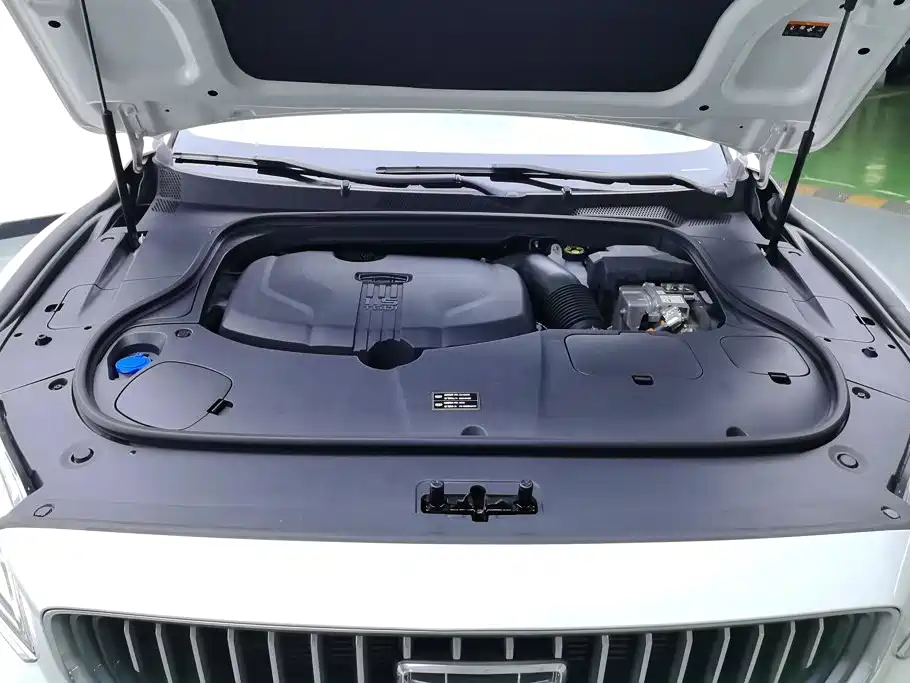 Фото 10 - Geely Borui PHEV