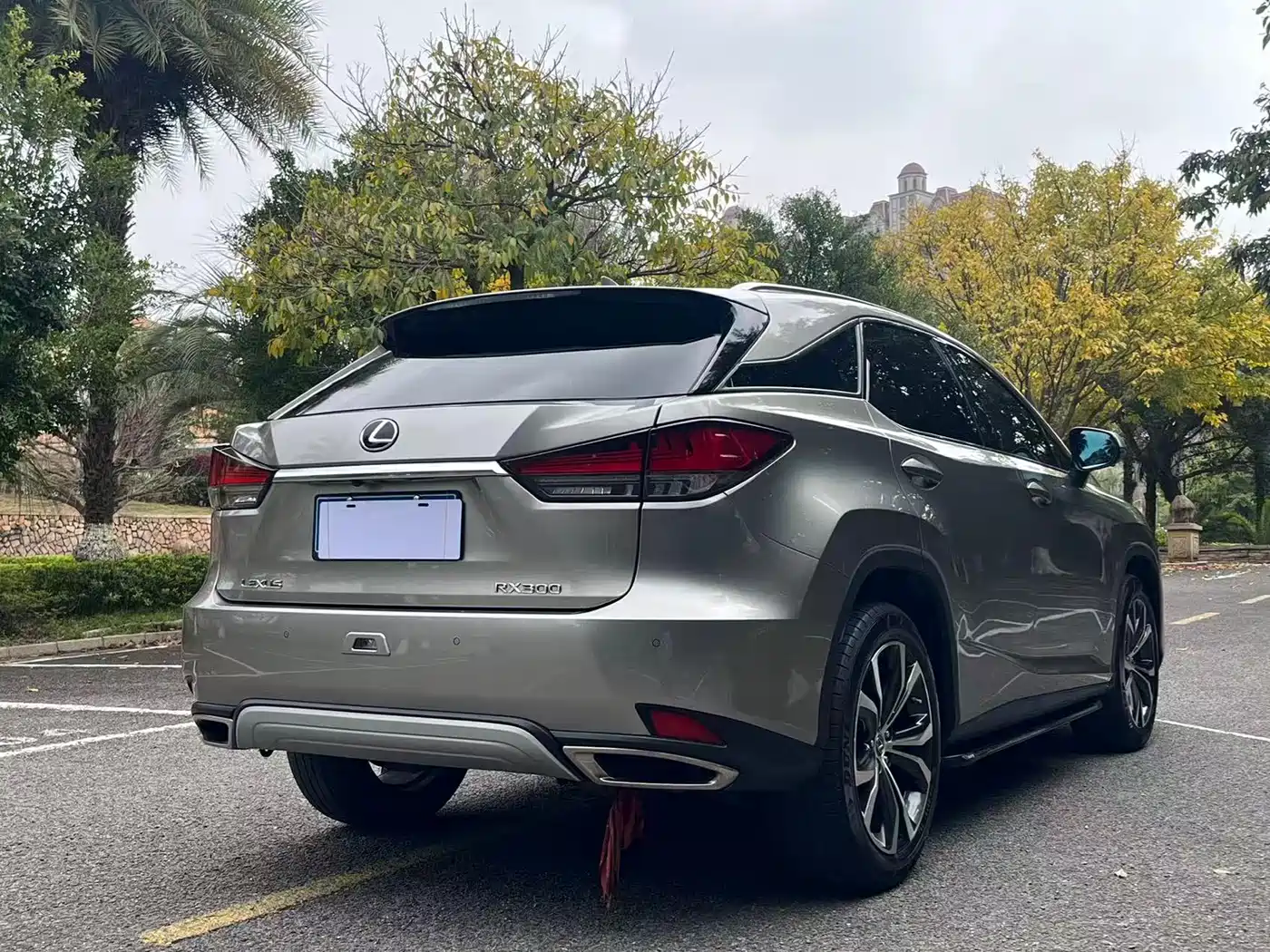 LEXUS RX