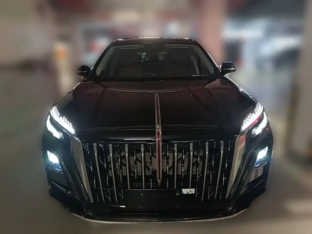 Фото 5 - Hongqi HS3 PHEV