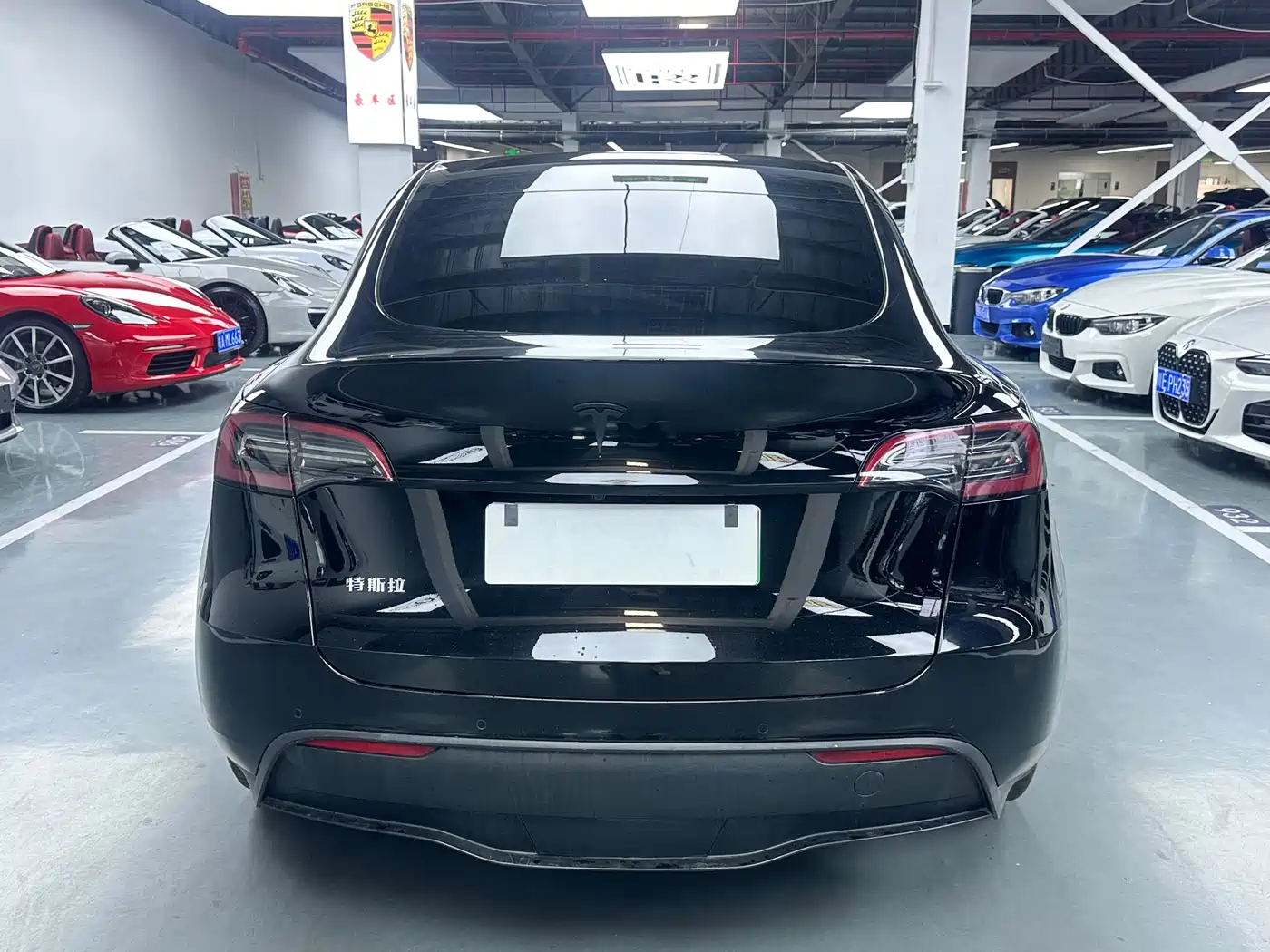 TESLA MODEL Y