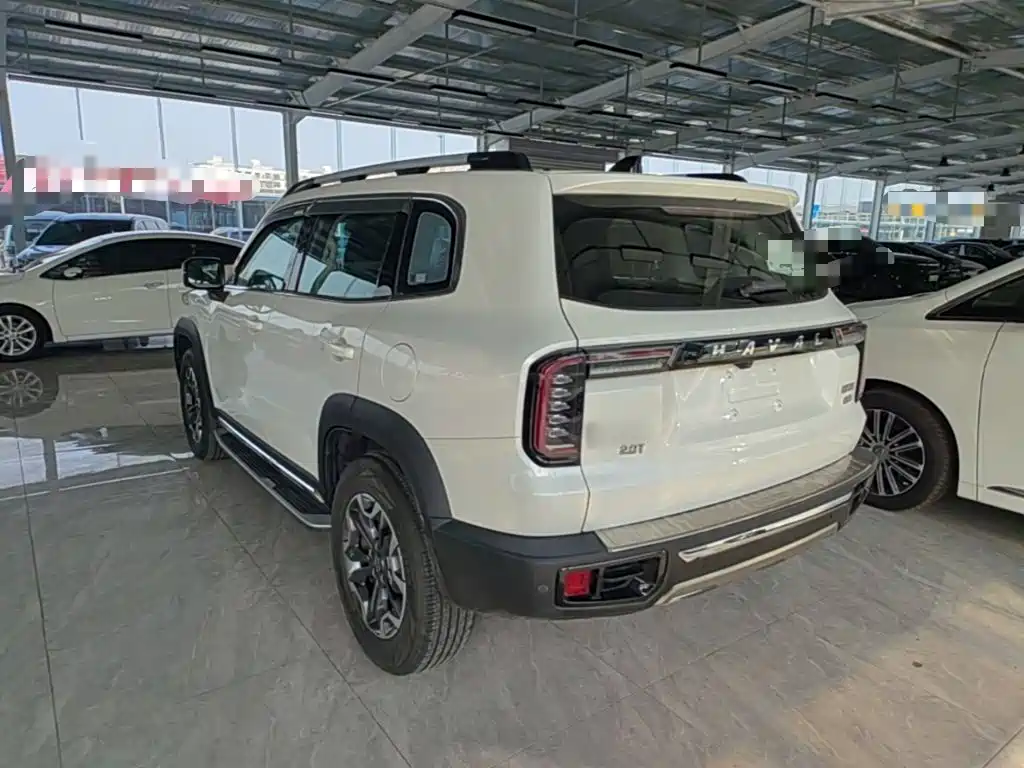 Фото 5 - Haval Dargo