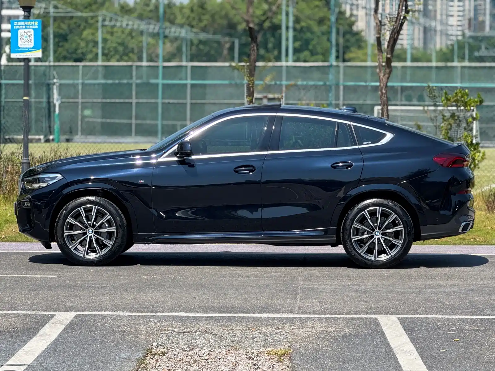 صورة 3 - BMW X6
