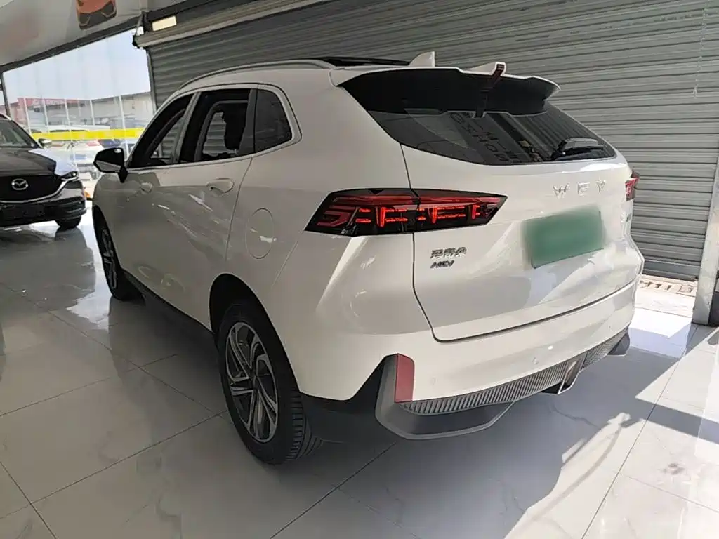 WEY Macchiato DHT 2021 2021 1.5L DHT Special Tuning Edition