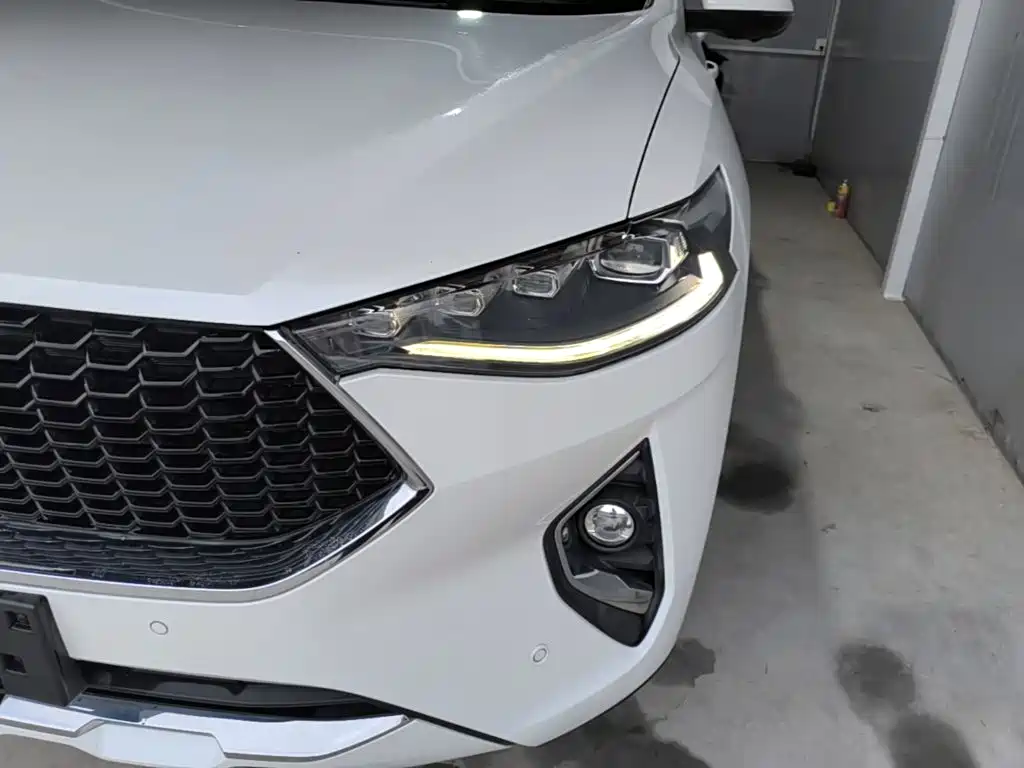 Haval F7 2019 2019 1.5T 2WD i-Trend China VI