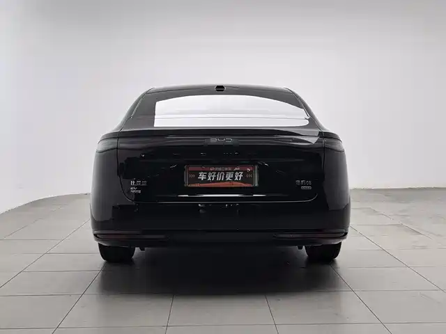 BYD Seal 08, фото 4