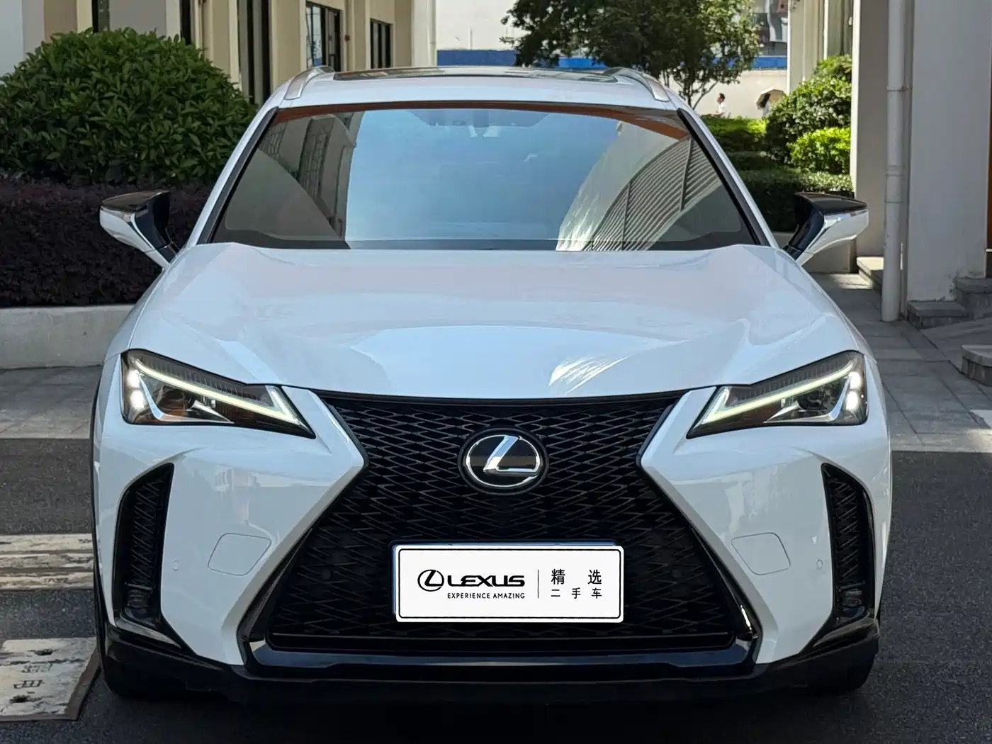 Lexus UX 2019 2019 200 F SPORT Edition