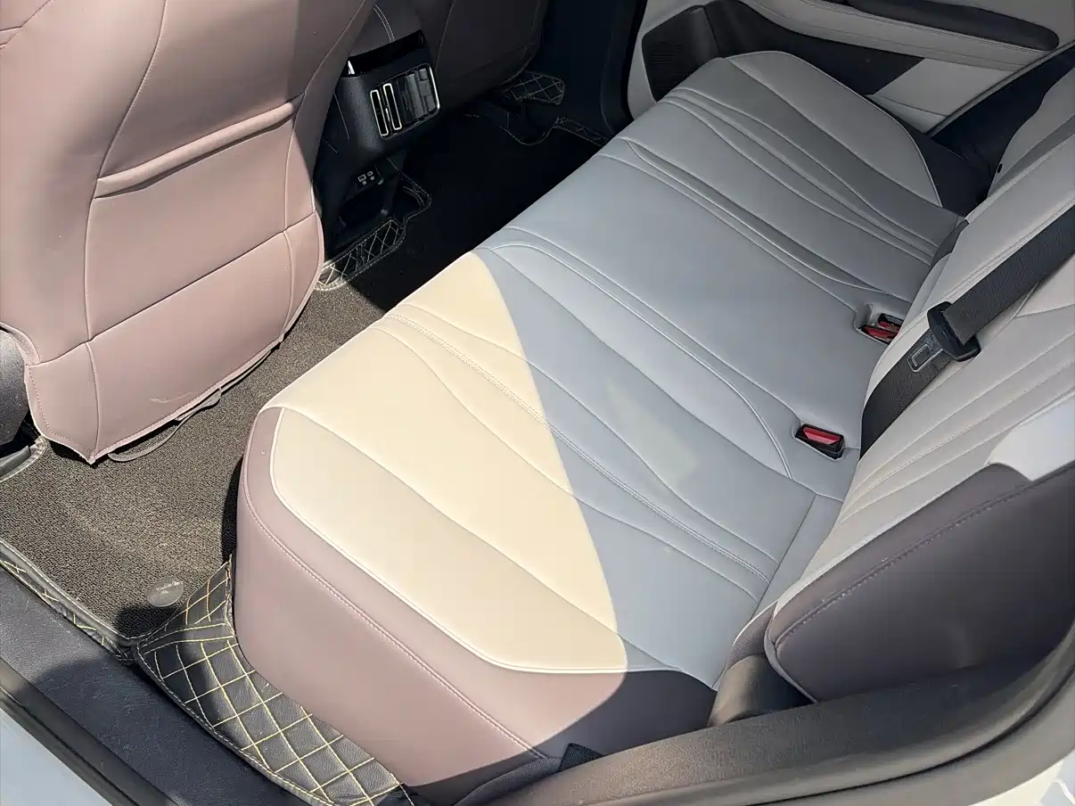 BYD SONGJIANG NEW ENERGY