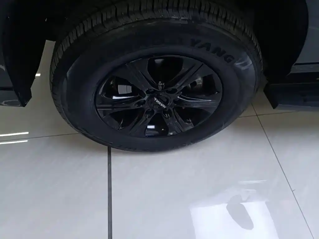 Фото 23 - Haval H5