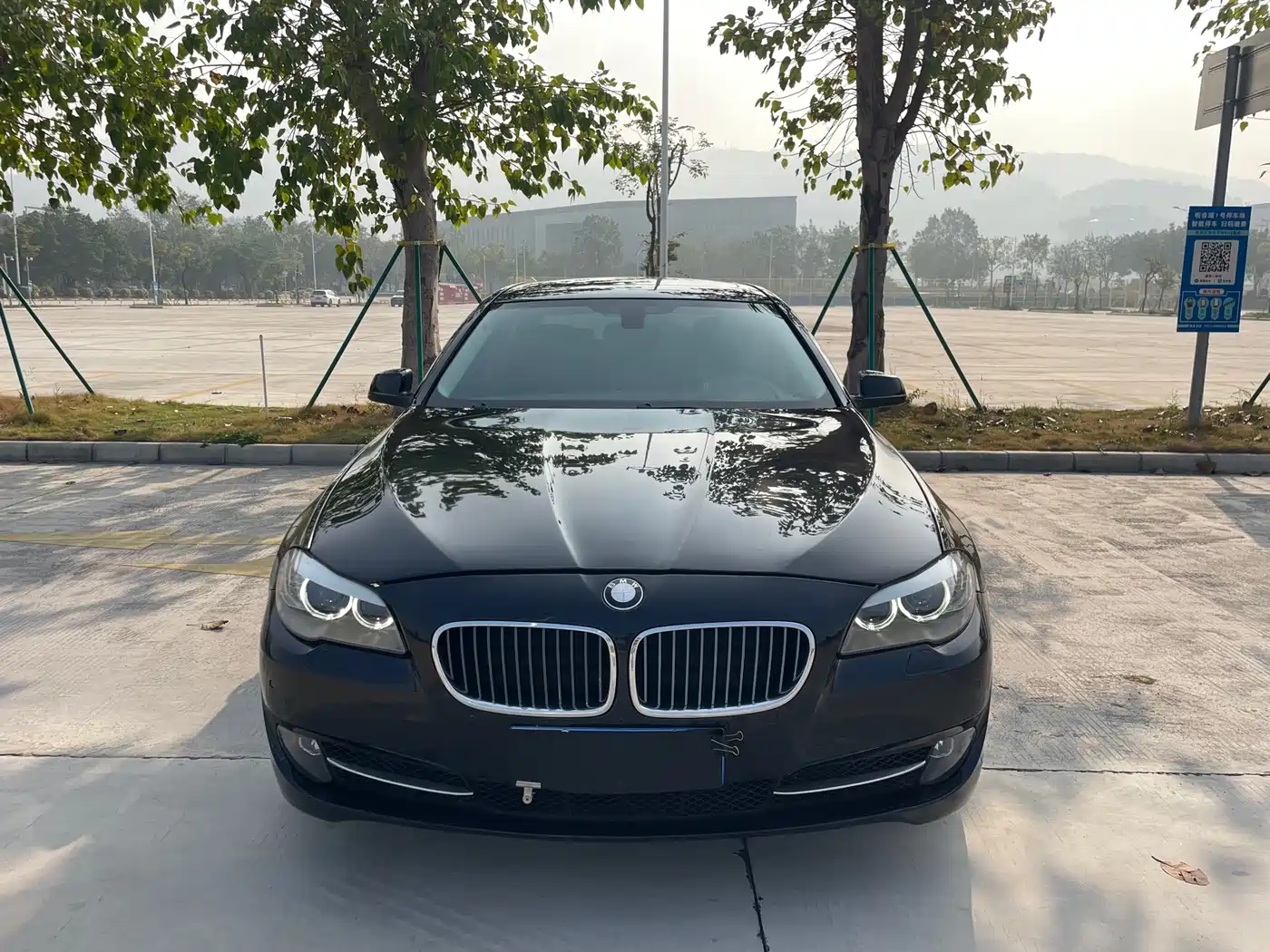 BMW 5 Series 2013 525Li Luxury фото 2